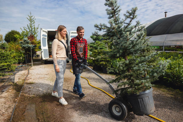 How Our Tree Care Process Works  in  Timberline Fernwood, AZ